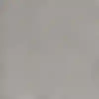 Delta Steel (B)