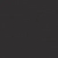 Authentic YP12050 (C)