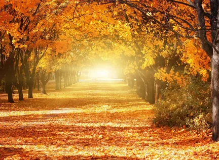 Die Vorteile des Wanderns für Ihre Nachtruhe