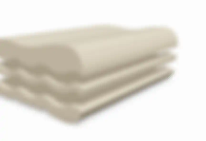 Ergosleep Pillow