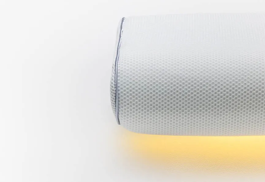 Ergosleep Pillow